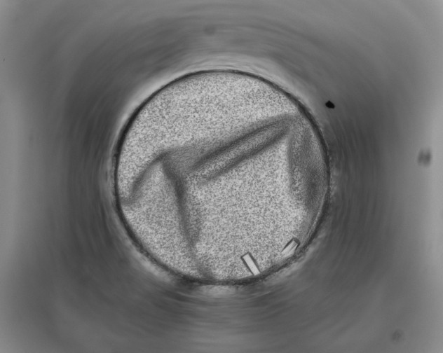 X0000096671517200802261439