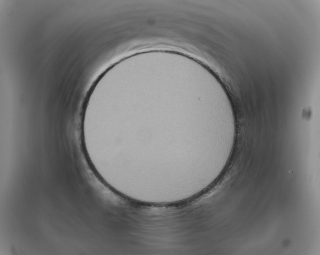 X0000096671518200802261439