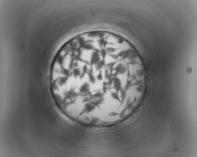 X0000096671519200802261439