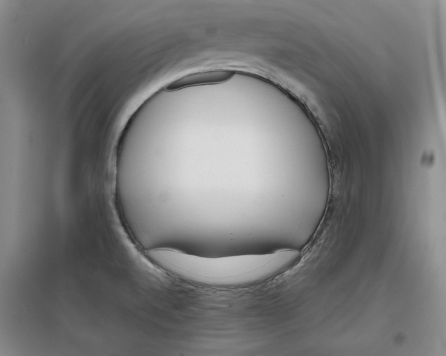 X0000096671520200802261440