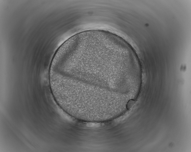 X0000096671521200802261440