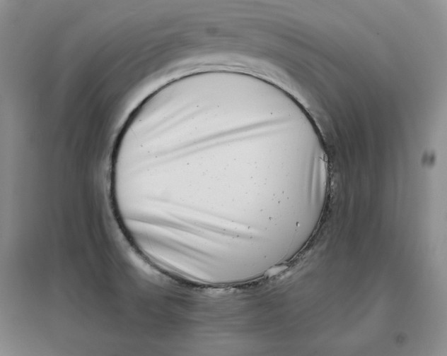 X0000096671523200802261440