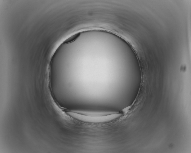 X0000096671524200802261440