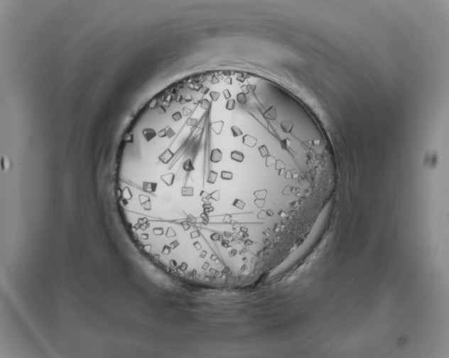 X0000096671525200802261440