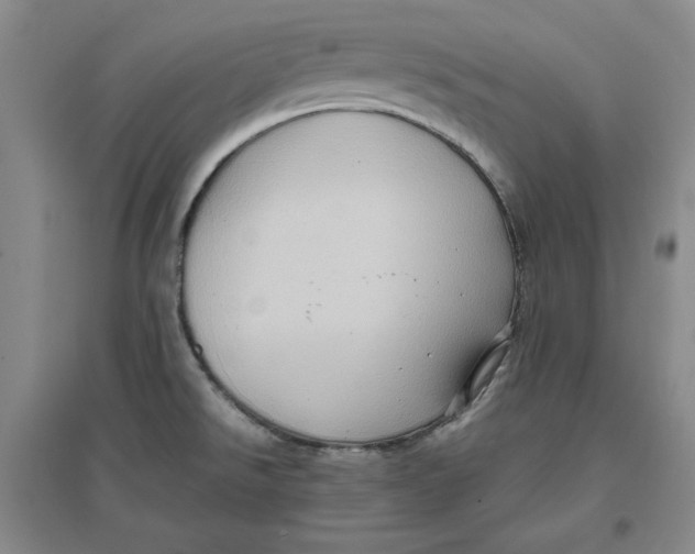 X0000096671526200802261440