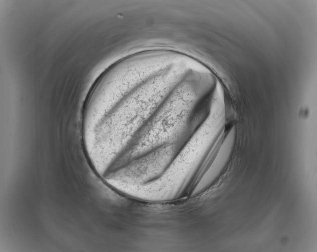 X0000096671527200802261440