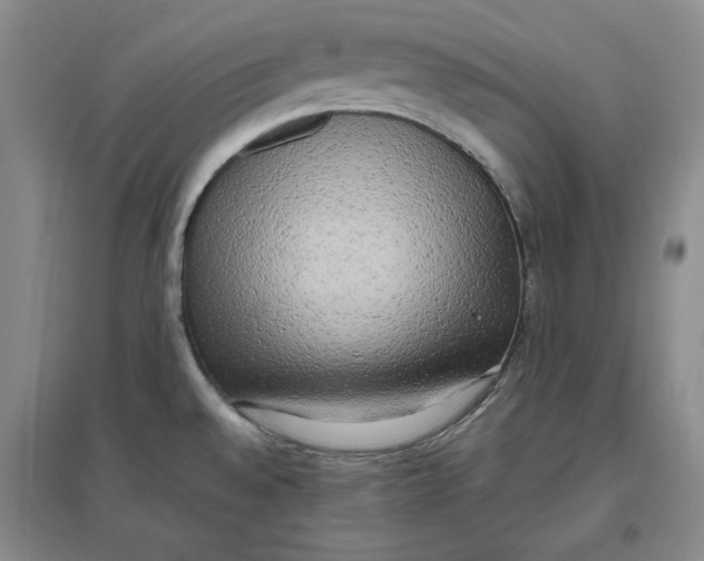 X0000096671528200802261440