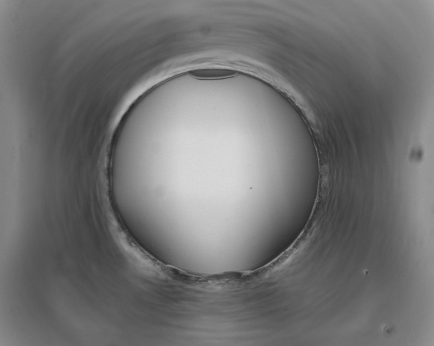 X0000096671530200802261440