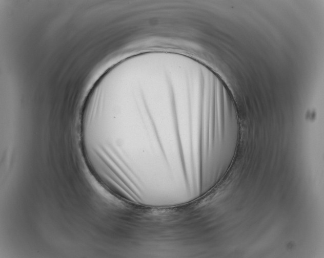 X0000096671531200802261440