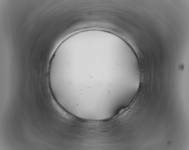 X0000096671532200802261440