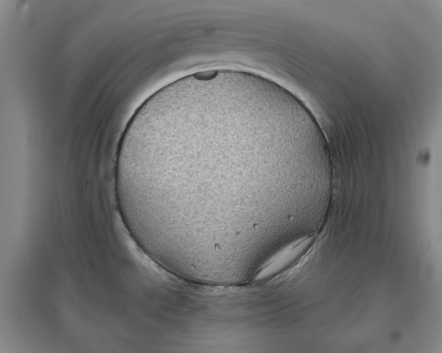 X0000096671534200802261440