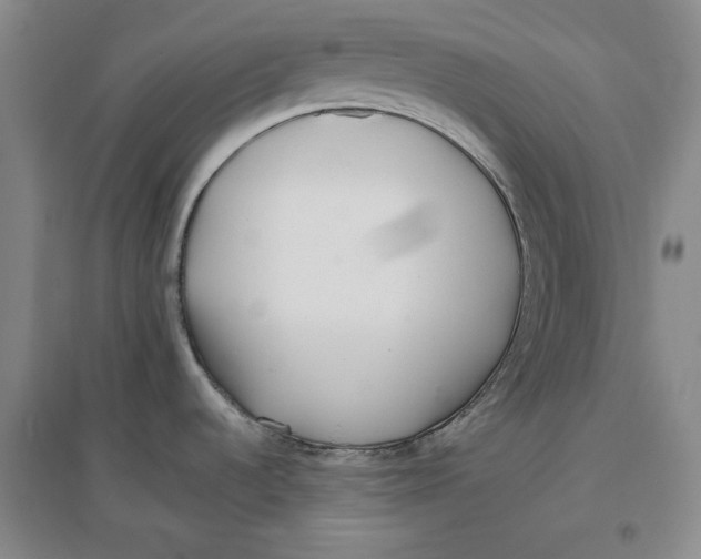 X0000096671536200802261440