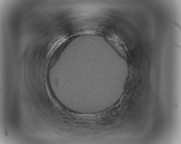 X0000096670001200803041230