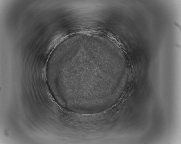 X0000096670002200803041230