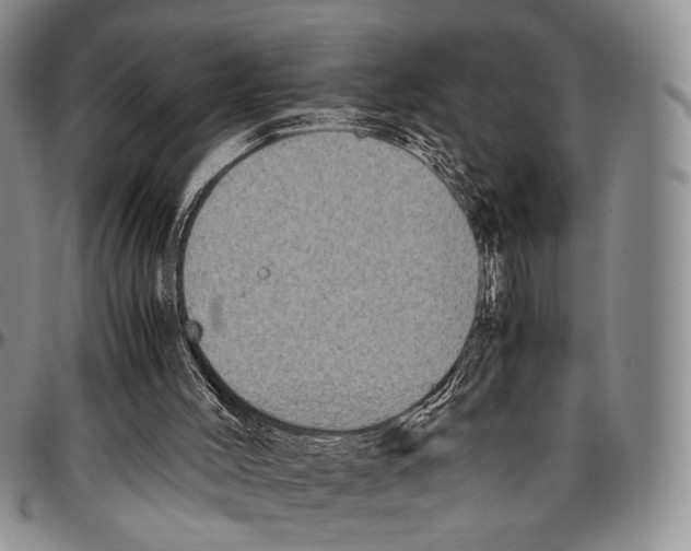 X0000096670004200803041230