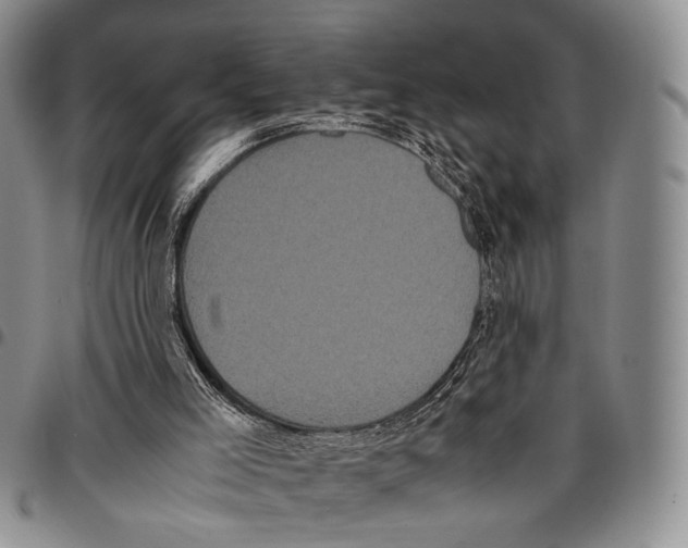 X0000096670005200803041230