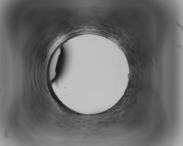 X0000096670007200803041230