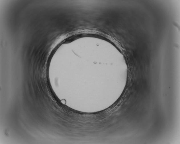 X0000096670008200803041230