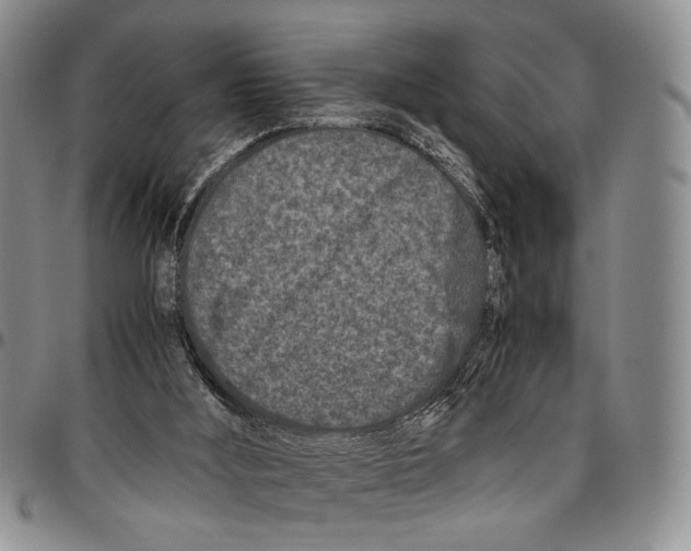 X0000096670012200803041230