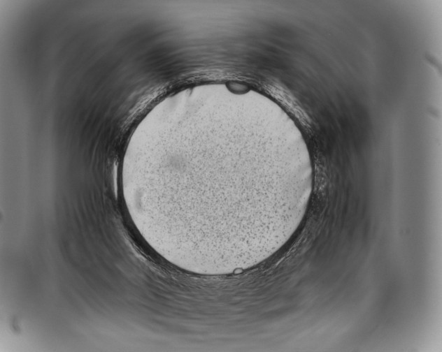 X0000096670014200803041229
