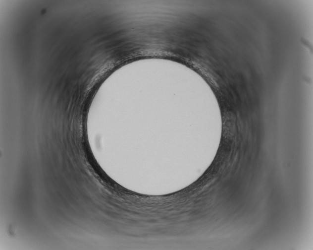 X0000096670015200803041229