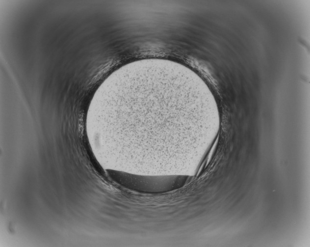 X0000096670017200803041229