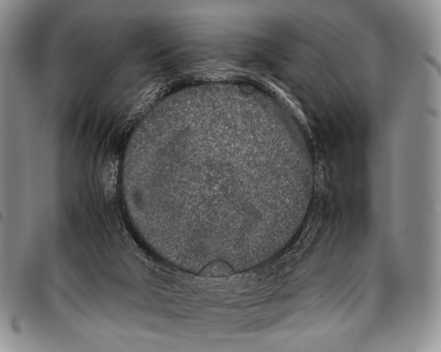 X0000096670018200803041229