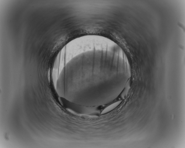 X0000096670019200803041229