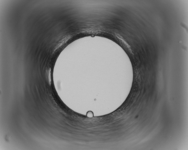 X0000096670020200803041229
