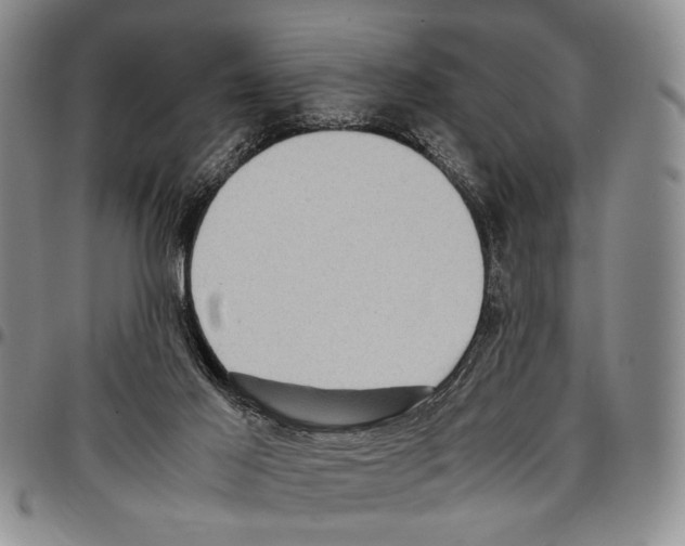 X0000096670021200803041229