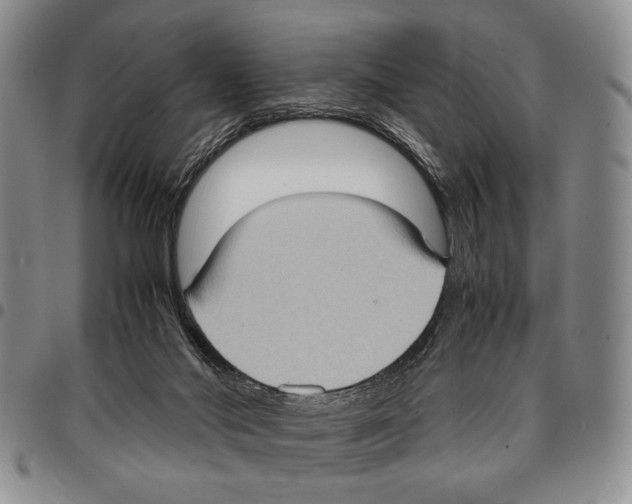 X0000096670022200803041229