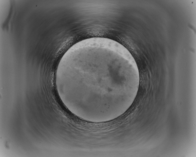 X0000096670023200803041229