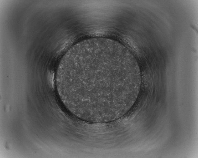 X0000096670024200803041229