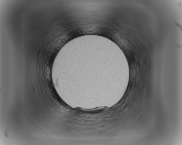 X0000096670025200803041229