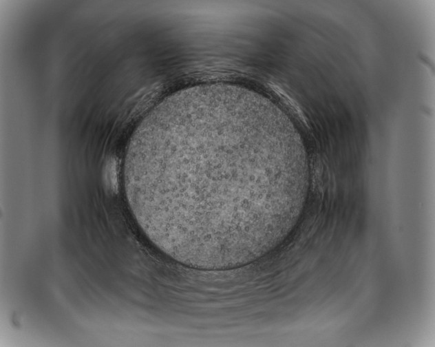 X0000096670026200803041229
