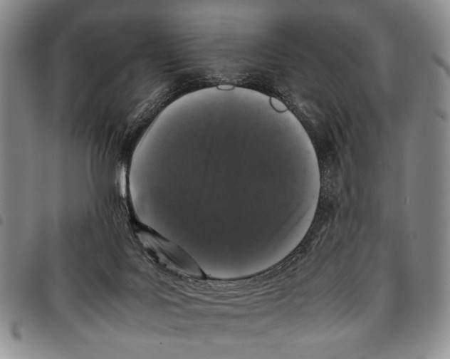 X0000096670027200803041229