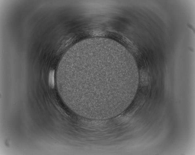X0000096670028200803041229