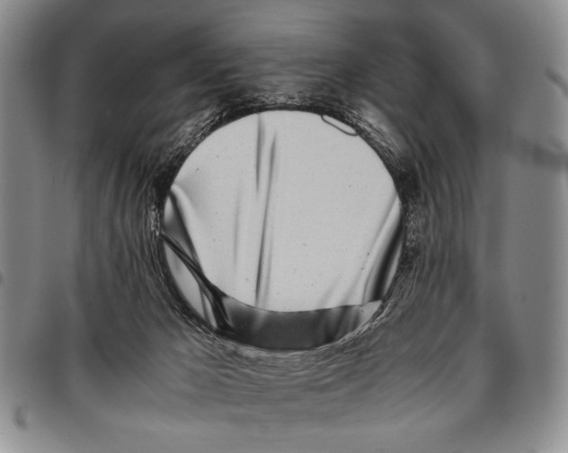 X0000096670029200803041229