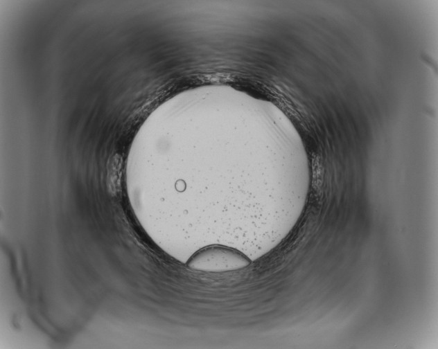 X0000096670030200803041229