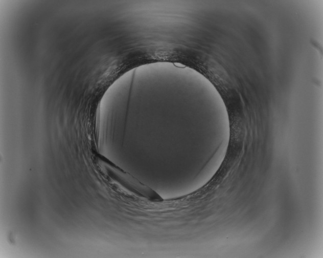 X0000096670031200803041229