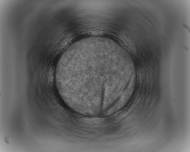 X0000096670032200803041229
