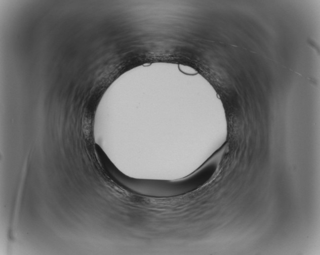 X0000096670033200803041229