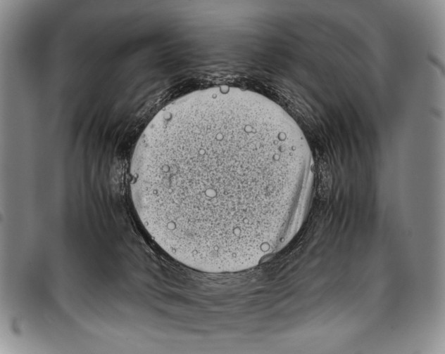 X0000096670034200803041229