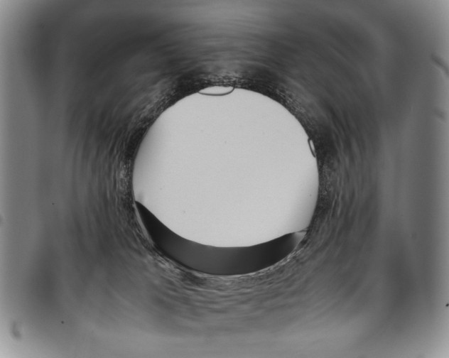 X0000096670037200803041229