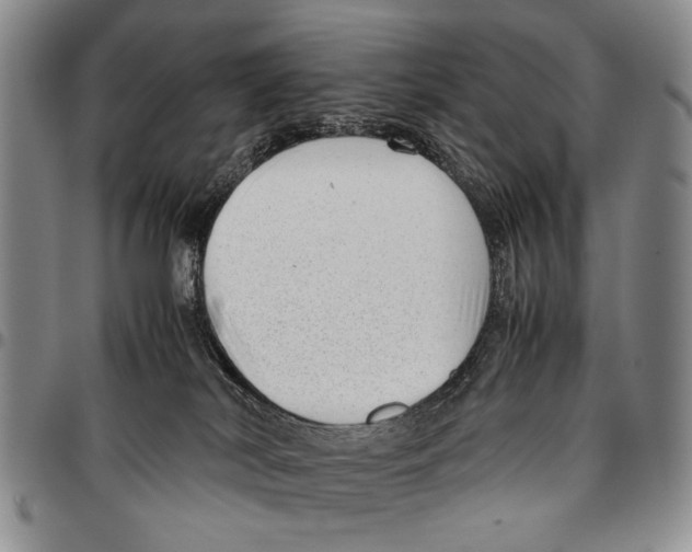 X0000096670038200803041229