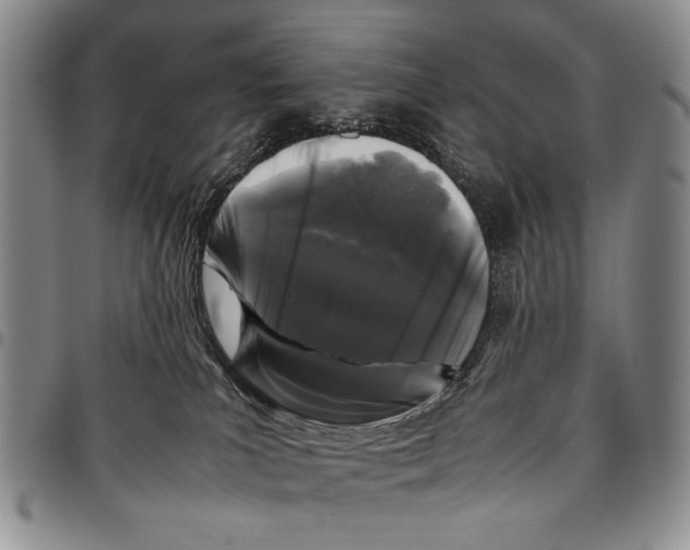 X0000096670039200803041229