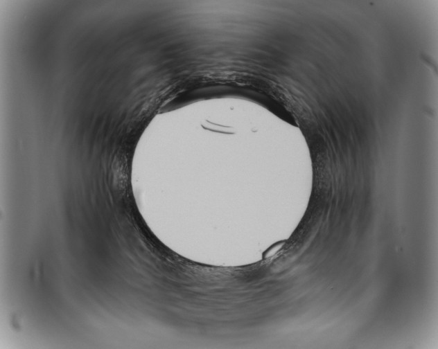 X0000096670040200803041229