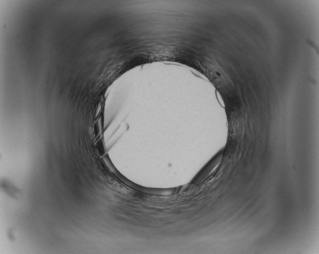 X0000096670041200803041229