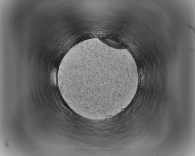 X0000096670042200803041229