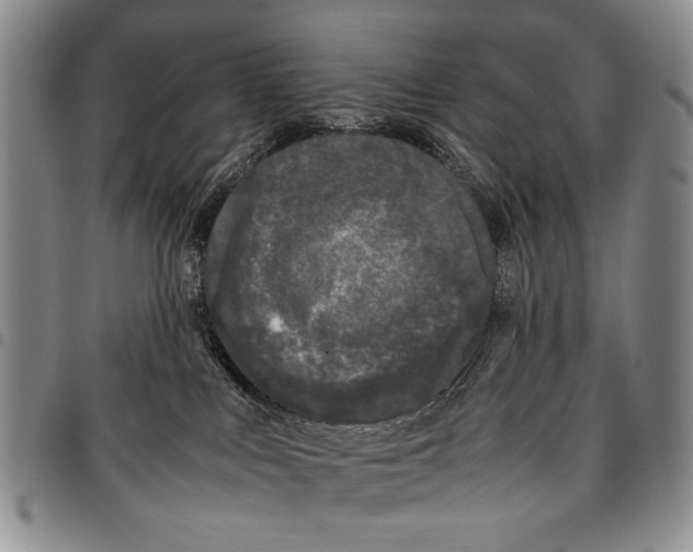X0000096670043200803041229